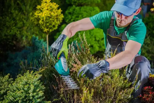 landscaping services Kingston